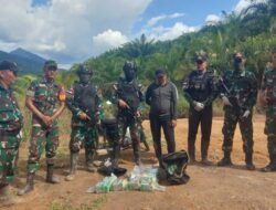 Lagi, Warga Malaysia Ditangkap TNI di Perbatasan karena Menyeludupkan Sabu